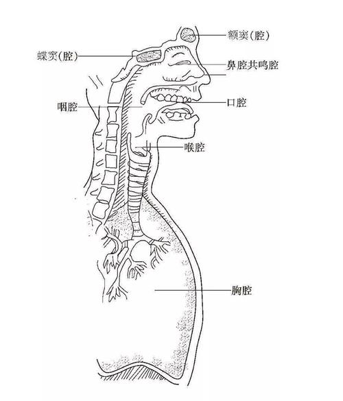 音乐基本乐理知识归纳